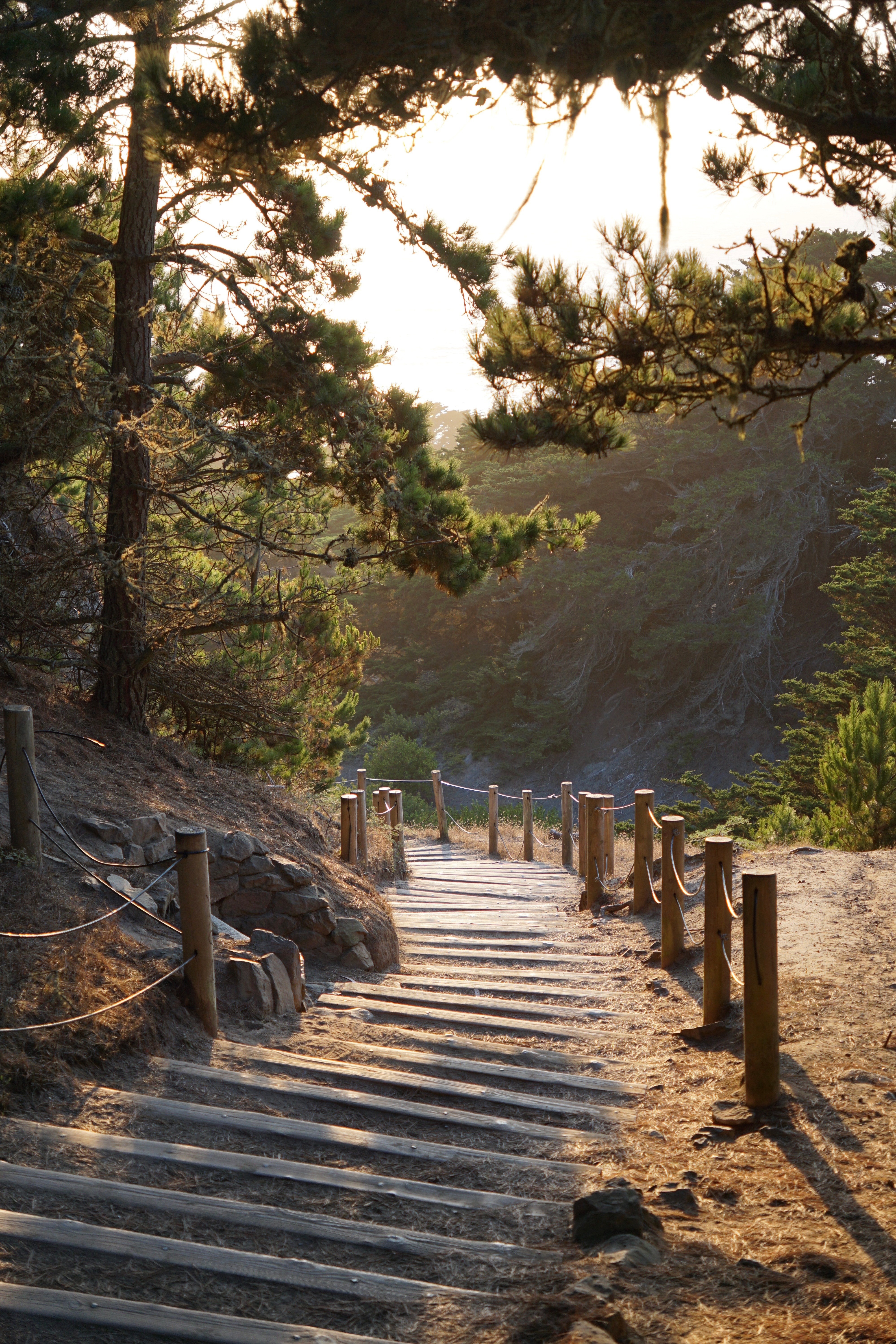 Path